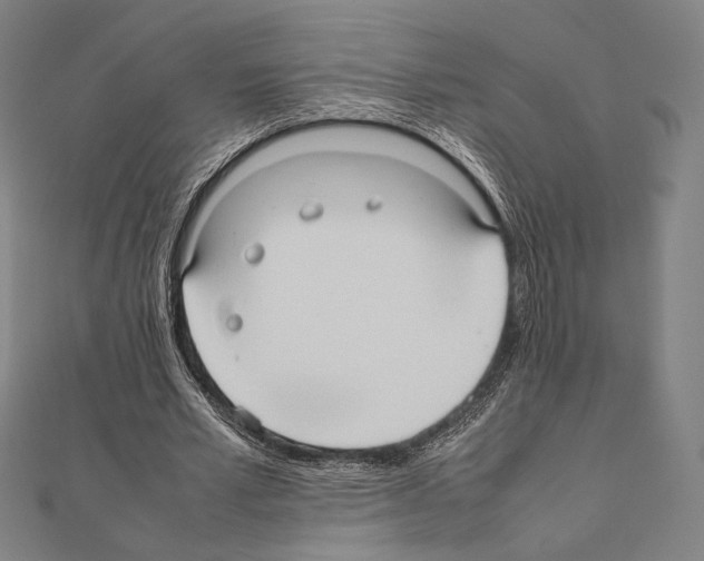 X0000111190581200908121049