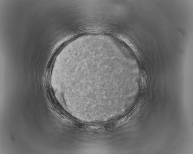 X0000111190583200908121049