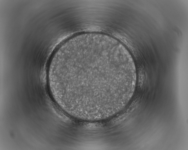 X0000111190584200908121049