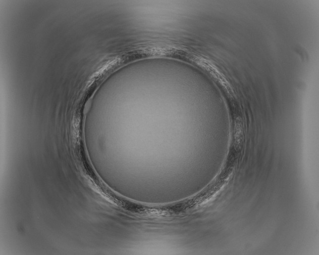 X0000111190585200908121049