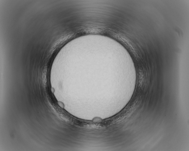 X0000111190586200908121049
