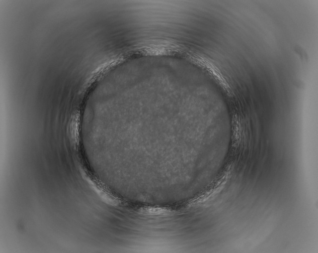 X0000111190590200908121049