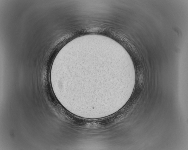 X0000111190591200908121049