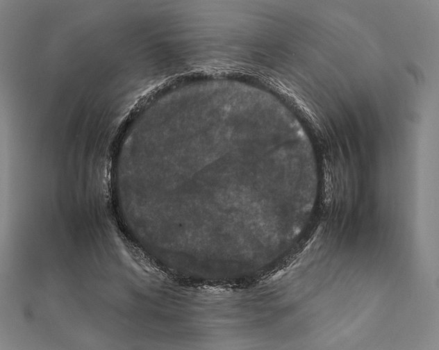 X0000111190592200908121049
