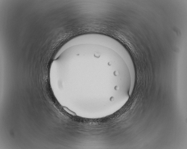 X0000111190593200908121049
