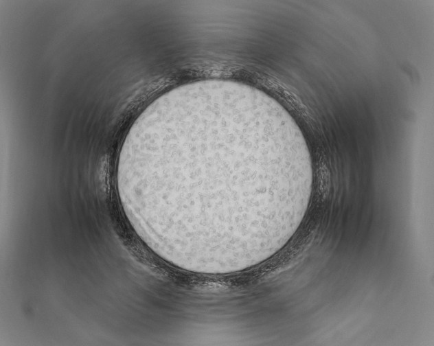 X0000111190594200908121049