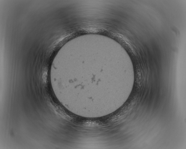 X0000111190596200908121049