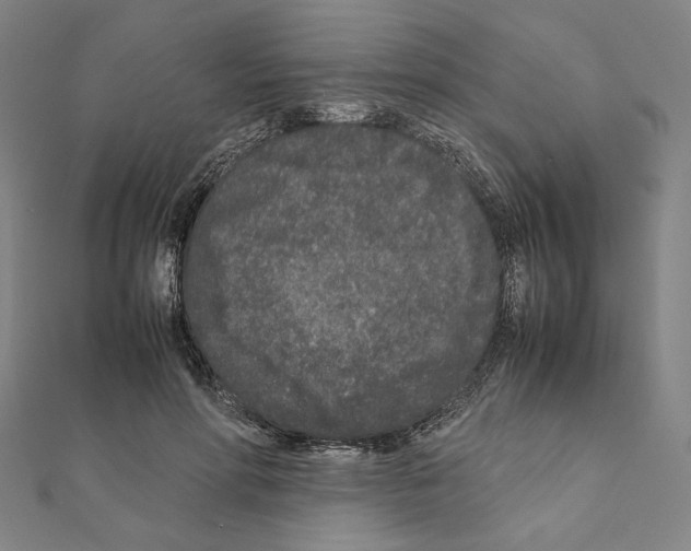 X0000111190598200908121049