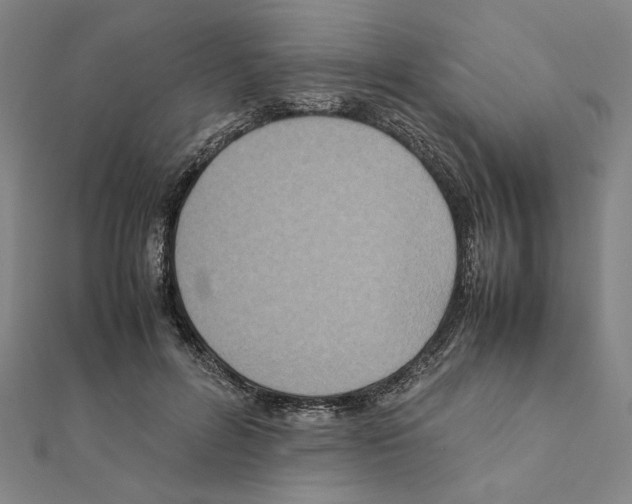 X0000111190600200908121049