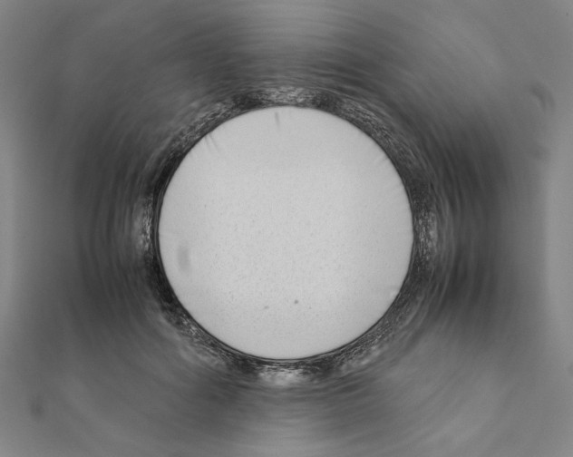 X0000111190602200908121049