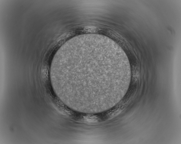 X0000111190603200908121049