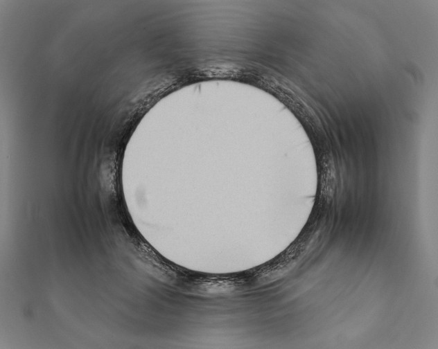 X0000111190604200908121049
