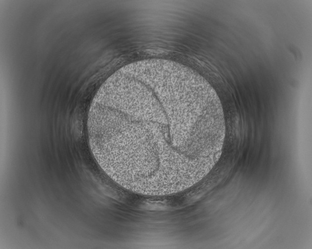 X0000111190606200908121049