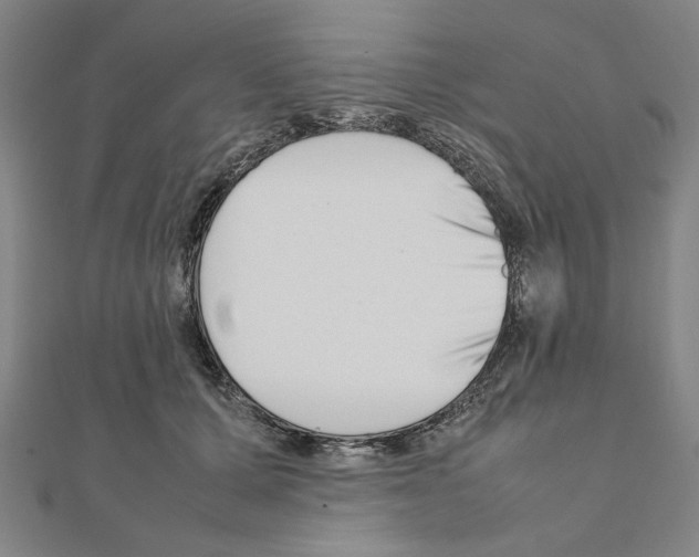 X0000111190607200908121049