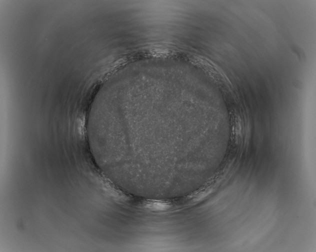 X0000111190610200908121049