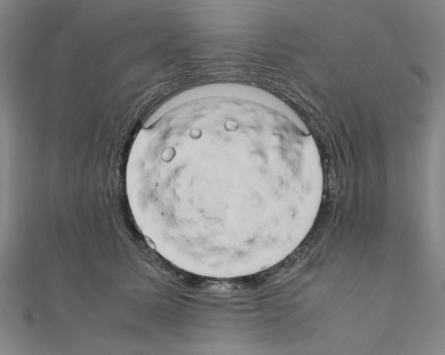 X0000111190611200908121049