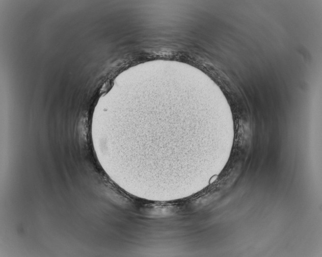 X0000111190612200908121049