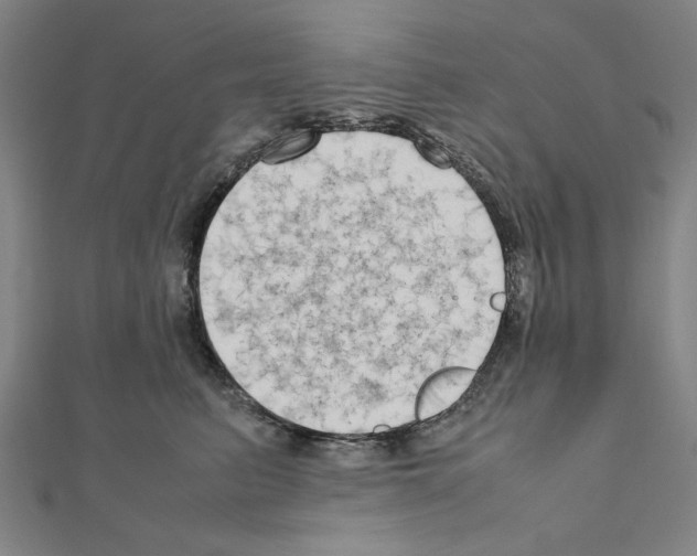 X0000111190615200908121049