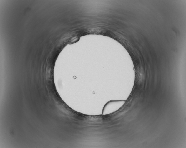 X0000111190619200908121049