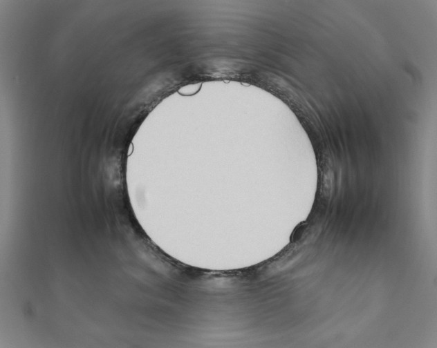 X0000111190620200908121049