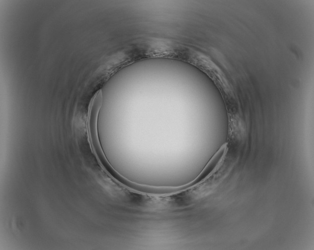 X0000111190621200908121049