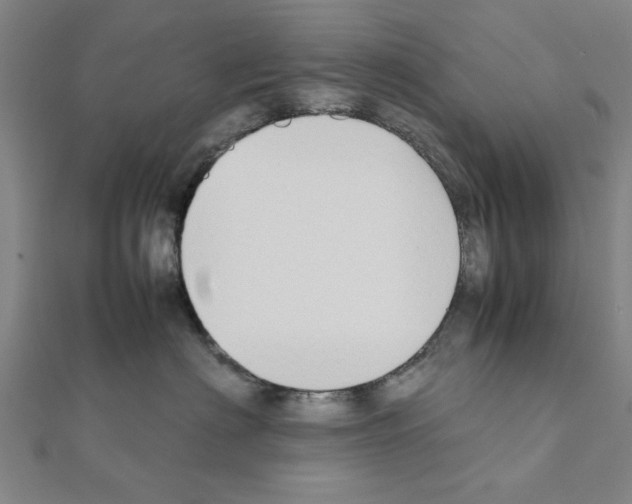 X0000111190622200908121049