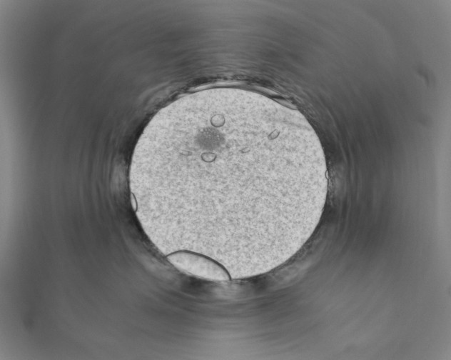 X0000111190623200908121049