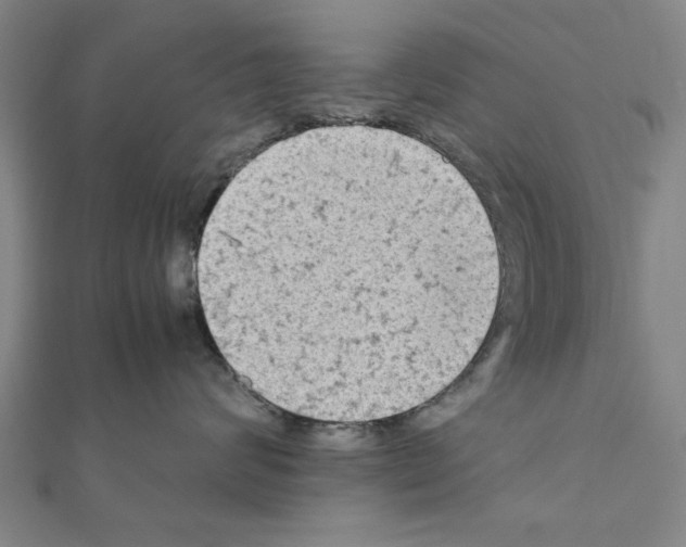X0000111190624200908121049