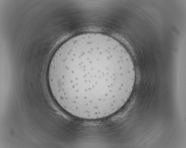 X0000111190625200908121048