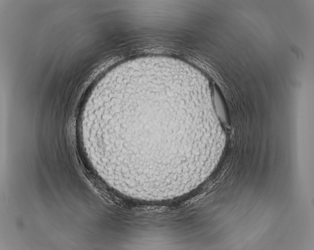 X0000111190626200908121048