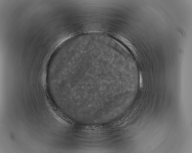 X0000111190627200908121048