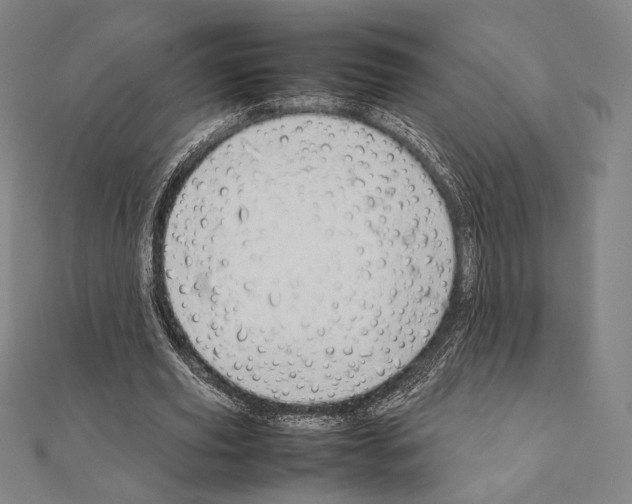 X0000111190629200908121048