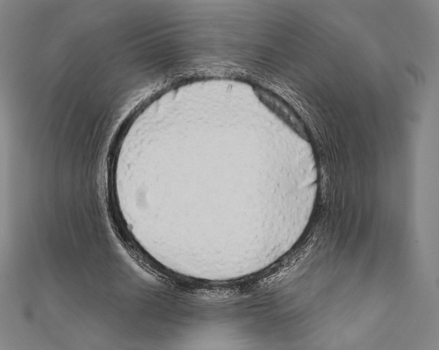 X0000111190630200908121048