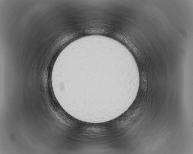 X0000111190631200908121048