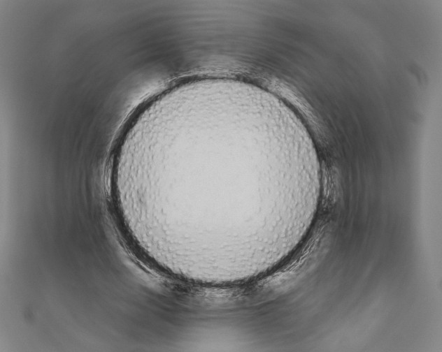 X0000111190632200908121048