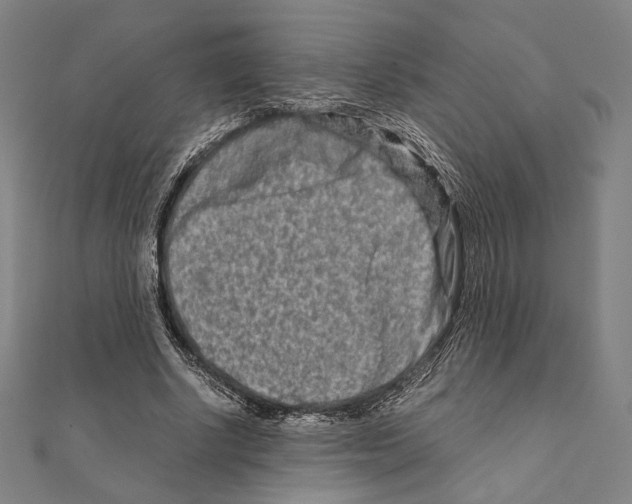 X0000111190634200908121048
