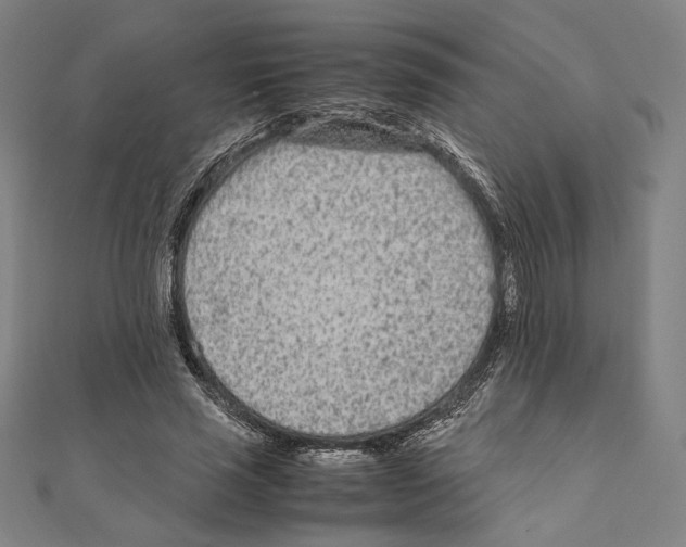 X0000111190637200908121048