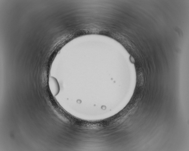X0000111190638200908121048