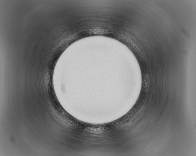 X0000111190639200908121048