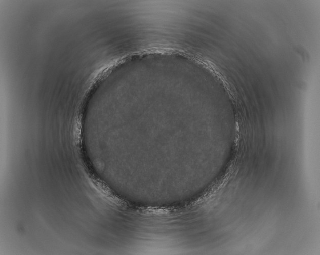 X0000111190640200908121048