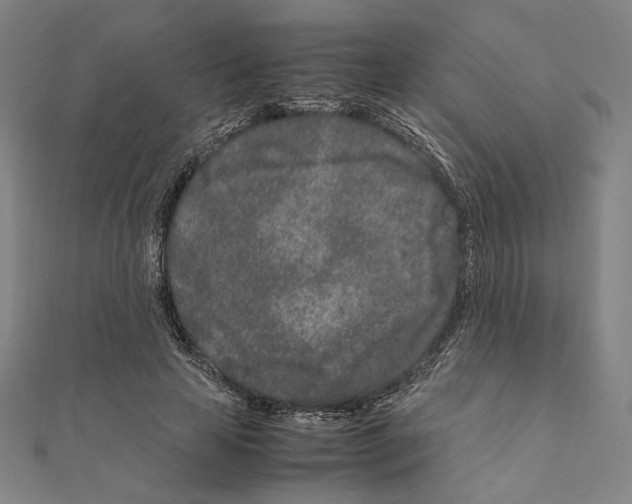 X0000111190641200908121048
