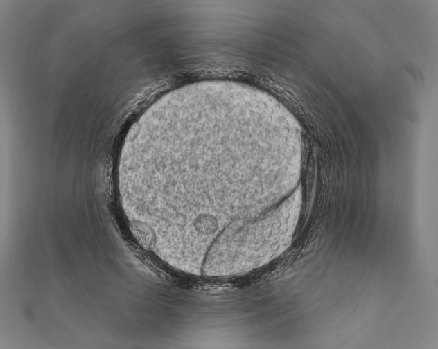 X0000111190642200908121048