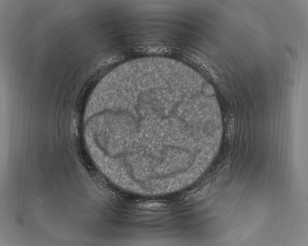 X0000111190643200908121048