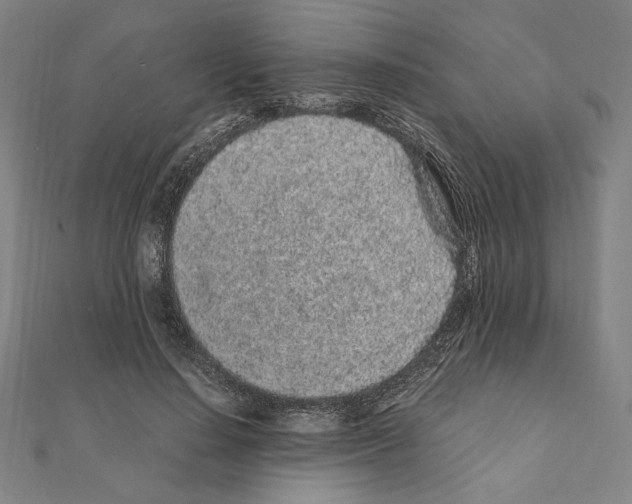 X0000111190644200908121048
