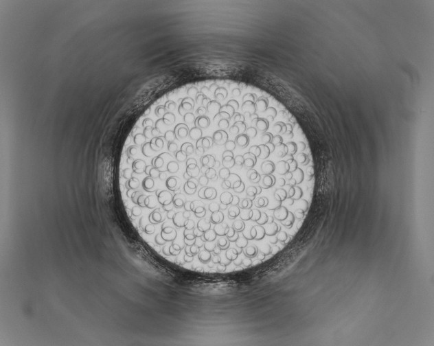 X0000111190646200908121048