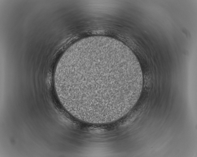 X0000111190648200908121048