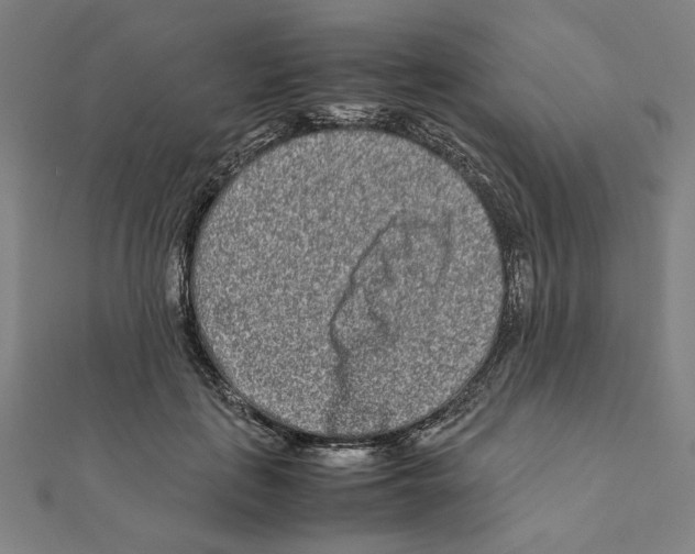 X0000111190651200908121048