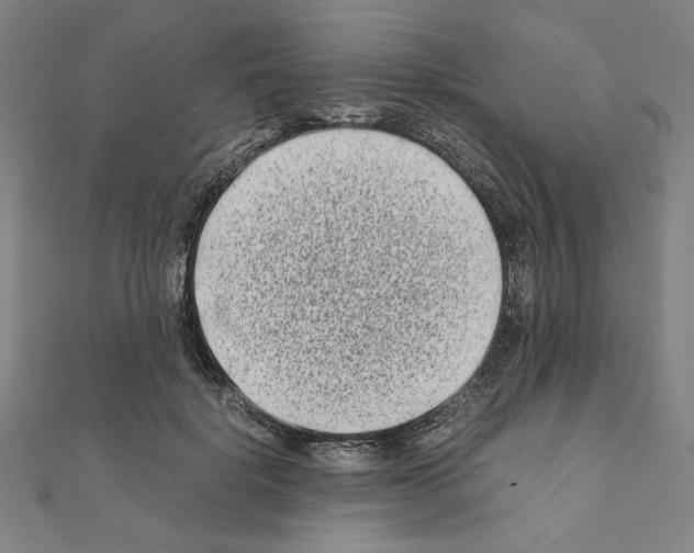 X0000111190652200908121048