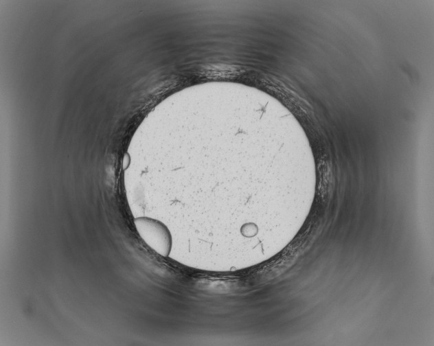 X0000111190655200908121048