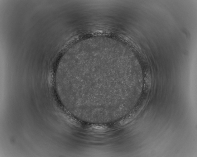 X0000111190659200908121048